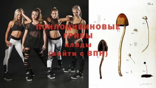 синтетический гашиш Алексин