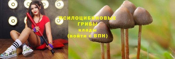 синтетический гашиш Алексин